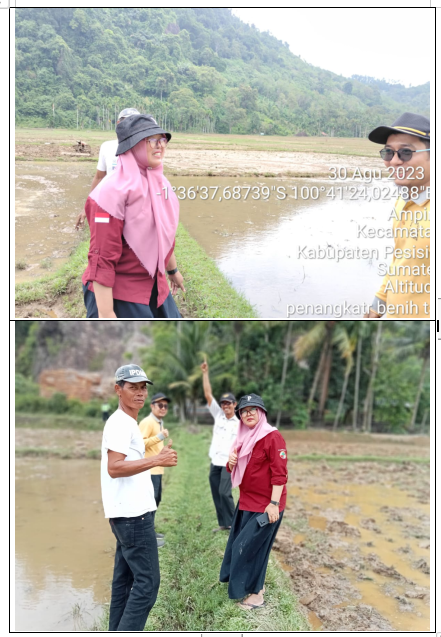 pembinaan penangkar di Klp tani Tandikek I